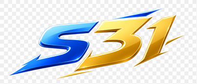 s31
